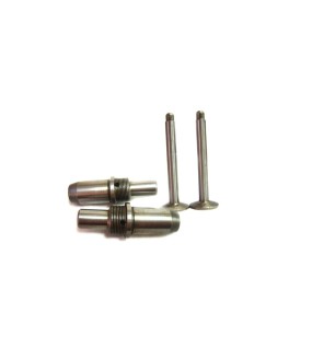 Royal Enfield Tappet And Guide Kit
