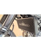 For Royal Enfield New Himalayan 450 Radiator Guard Black