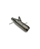 Fit For Royal Enfield Bear 650 AEW SS Exhaust Silencer Matt Finish