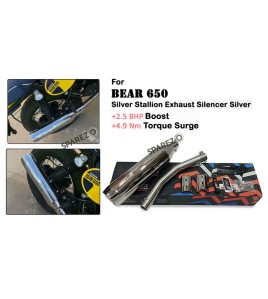 Fit For Royal Enfield Bear 650 Stainless Steel Exhaust Silencer Polished