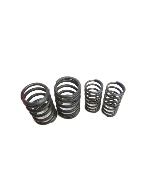 Royal Enfield 500cc Valve Spring Kit