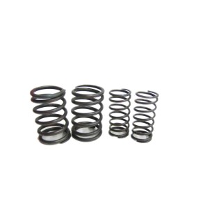 Royal Enfield 500cc Valve Spring Kit
