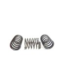 Royal Enfield 500cc Valve Spring Kit