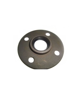 Royal Enfield Clutch Seal