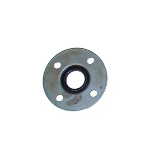 Royal Enfield Clutch Seal