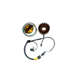 New Royal Enfield Bullet Stator Assembly 12V Electra Without Self