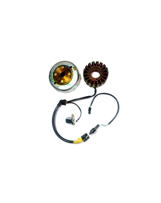 New Royal Enfield Bullet Stator Assembly 12V Electra Without Self