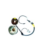 New Royal Enfield Bullet Stator Assembly 12V Electra Without Self
