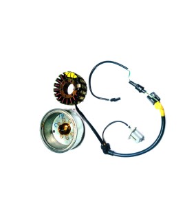 New Royal Enfield Bullet Stator Assembly 12V Electra Without Self