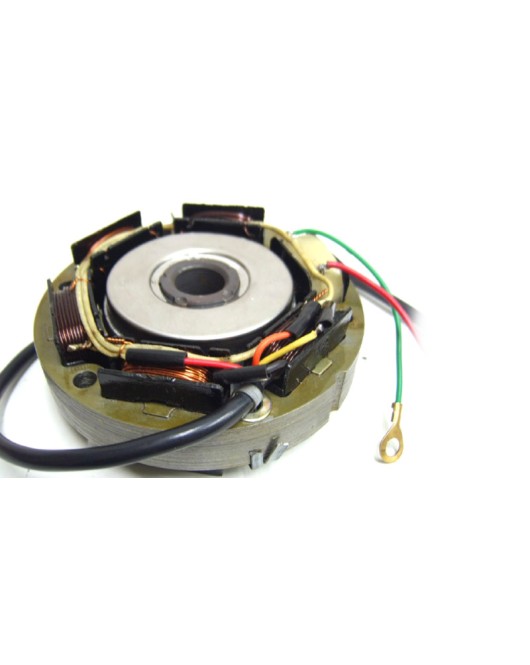 6 Wire Alternator Set 12v Electra Machismo/Tb