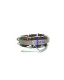 Royal Enfield 6 Volt Alternator Stator Assembly