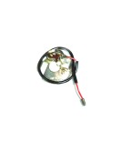 Royal Enfield 12v Contact Breaker Plate Assembly