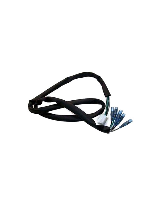 Royal Enfield Tail Light Wiring Harness