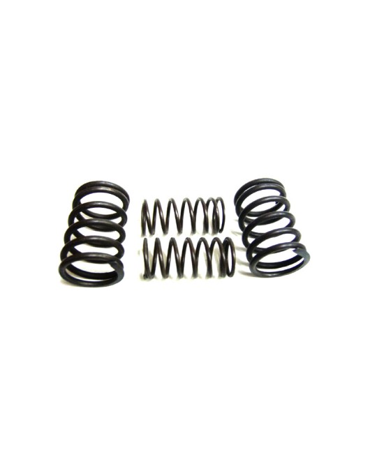Royal Enfield 350cc Valve Spring Kit