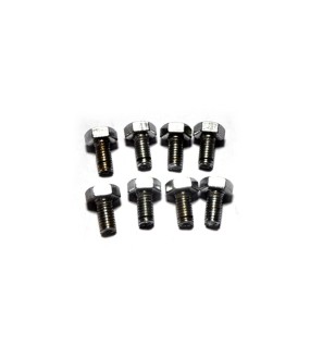 Royal Enfield Oil Pump Cover Screw