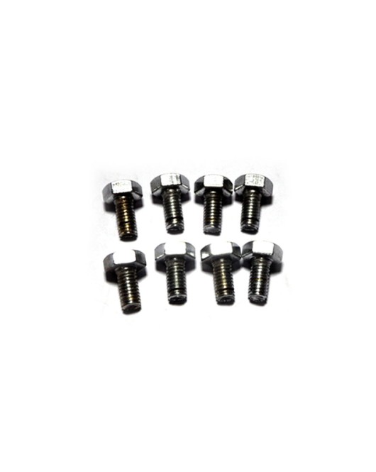 Royal Enfield Oil Pump Cover Screw