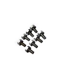 Royal Enfield Oil Pump Cover Screw