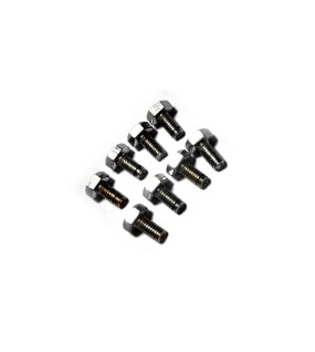Royal Enfield Oil Pump Cover Screw