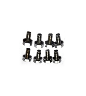 Royal Enfield Oil Pump Cover Screw