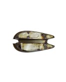 BSA 1950s C11 Speedo In Tank Model Gas Petrol Tank