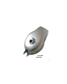 Customized Silver Painted Clubman Petrol Tank