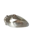 Royal Enfield Interceptor Raw Steel Petrol Tank Reproduction