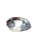 BSA A10 Golden Flash Gas Fuel Petrol Tank With Goldstar Filler Neck