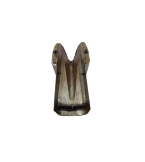 Benelli Mojave Cafe Racer 260 360 Petrol Fuel Gas Tank