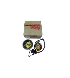 Royal Enfield Himalayan BS3 ACG Stator And Rotor Assembly