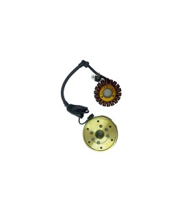 Royal Enfield Himalayan BS3 ACG Stator And Rotor Assembly