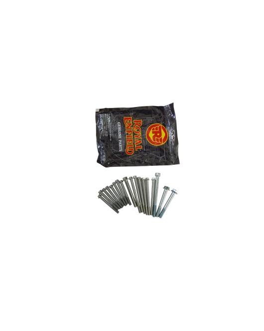 Royal Enfield Himalayan Crankcase Fasteners Kit D1