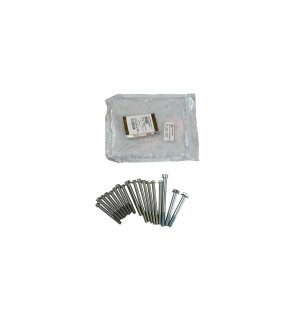 Royal Enfield Himalayan Crankcase Fasteners Kit D1