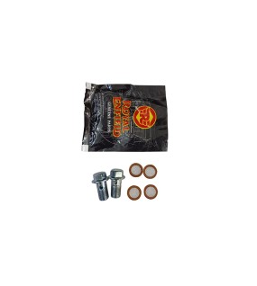 Royal Enfield Himalayan Gasket and Union Bolt Kit