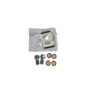 Royal Enfield Himalayan Gasket and Union Bolt Kit