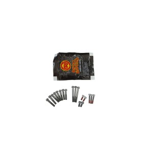 Royal Enfield Himalayan LH Cover Screws Kit D1