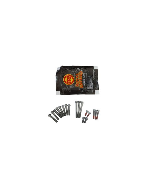 Royal Enfield Himalayan LH Cover Screws Kit D1