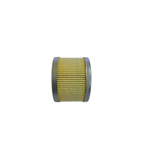 Royal Enfield Himalayan Oil Filter #574297/D