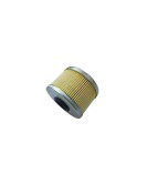 Royal Enfield Himalayan Oil Filter #574297/D