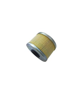 Royal Enfield Himalayan Oil Filter #574297/D