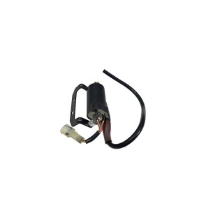Royal Enfield Himalayan Ignition Coil Assembly