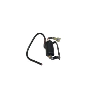 Royal Enfield Himalayan Ignition Coil Assembly