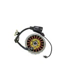 Royal Enfield Himalayan Flywheel Magneto Assembly EFI BS4