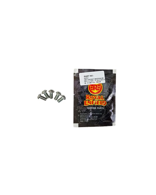 Royal Enfield Himalayan Hex Socket Button Head