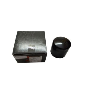 Genuine Royal Enfield Interceptor 650 Oil Filter