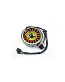 Genuine Royal Enfield Interceptor 650 Magneto Assy EFI