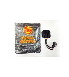 Genuine Royal Enfield Interceptor 650 RR Unit