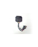 Genuine Royal Enfield Interceptor 650 RR Unit