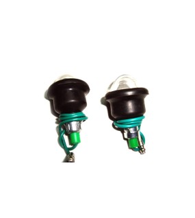 Complete Clear Pilot Lamp 12v Black Rim Assembly