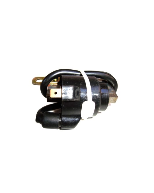 Electra Machismo TB Ignition Coil With HT Cable
