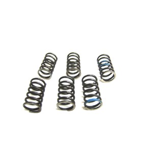 Royal Enfield Clutch Spring Kit